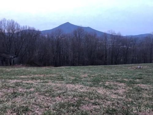 1532 Wideview Dr, Thaxton VA  24174-3212 exterior