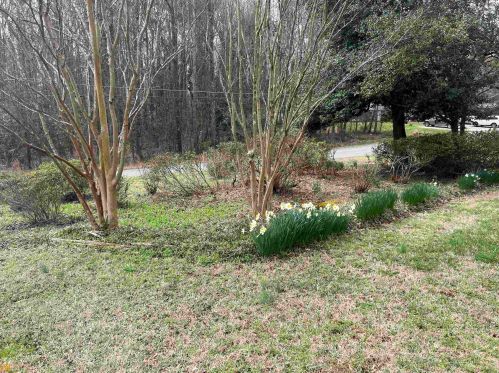 195 Maplewood Ln, Hull, GA 30646-4024