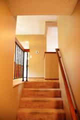 13090 Herald Cir, Saint Paul MN  55124-9736 exterior