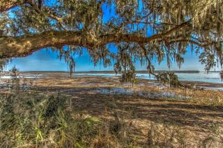 342 Bamberg Dr, Bluffton, SC 29910-4898