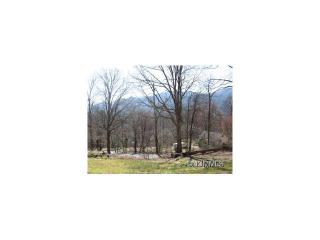 120 Strickland Ter, Swannanoa, NC 28778-2456