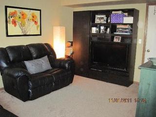 366 Springmist Ct, Lemont IL  60440-3817 exterior