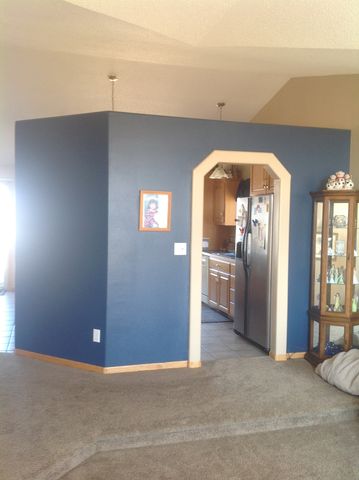 17463 180th St, Downer, MN 56514-9205