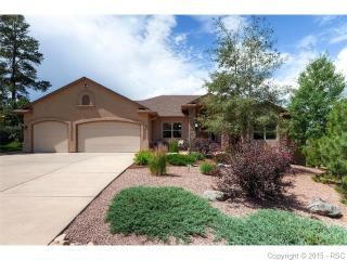 20236 High Pines Dr, Woodmoor, CO 80132-8373