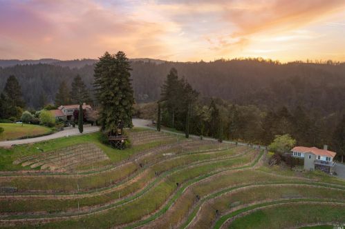 22190 Puccioni Rd, Healdsburg, CA 95448-8172