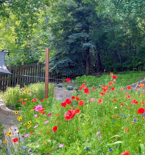 11220 66th Pl, Arvada CO  80004-2552 exterior