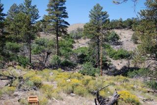 2975 E Path, Cotopaxi, CO 81223-9319