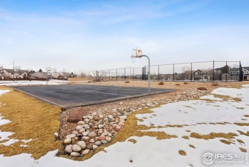 1306 Paragon Pl, Fort Collins CO  80525-9173 exterior
