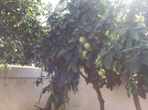 1302 Arlington Ave, Anaheim CA  92801-2003 exterior