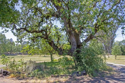 489 Duer Rd, Sebastopol, CA 95472-3840