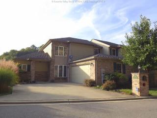 217 Mariel Way, Charleston WV  25311-1599 exterior