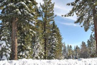 13272 Solvang Way, Truckee, CA 96161-6819