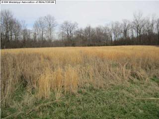 40 Polo Run Cv, Byhalia, MS 38611-7552