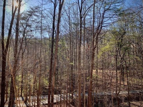 51 Indian Beach Trl, Big Canoe, GA 30143-7840
