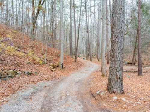 322 Old Tate Ml, Big Canoe GA  30143-4154 exterior