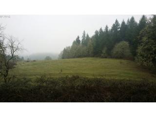 84429 Territorial Hwy, Eugene OR  97405-9709 exterior