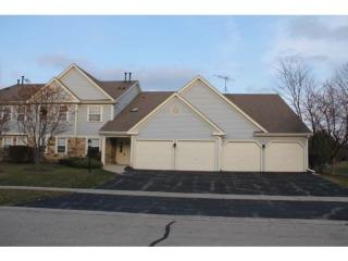 29 Ashburn Ct, Schaumburg IL  60193-6162 exterior