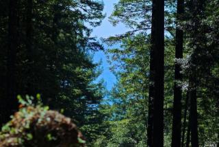 22029 Timber Cove Rd, Jenner, CA 95450-9713
