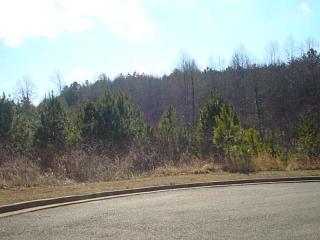 39 Village Creek Dr, Big Canoe, GA 30143
