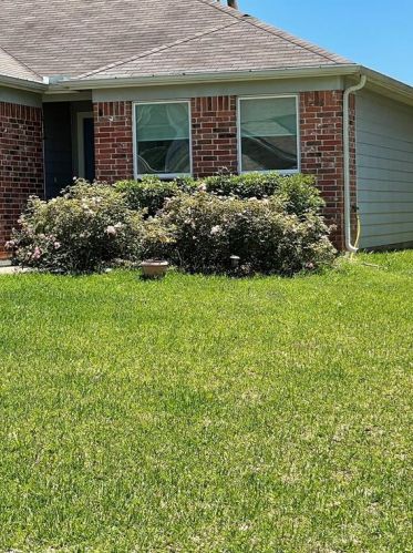 9984 Hyacinth Way, Conroe TX  77385-1904 exterior