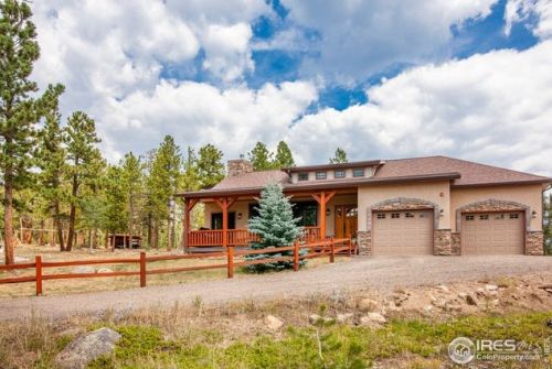 440 Grizzly Dr, Ward, CO 80481-9511