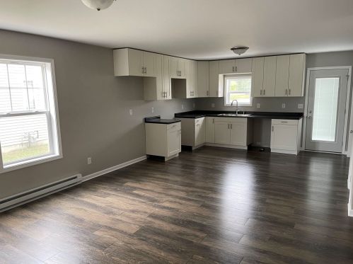917 Madison Ave, Braidwood, IL 60408-1495