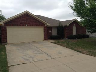 4158 Sarasota Springs Ct, Fort Worth TX  76123-1465 exterior