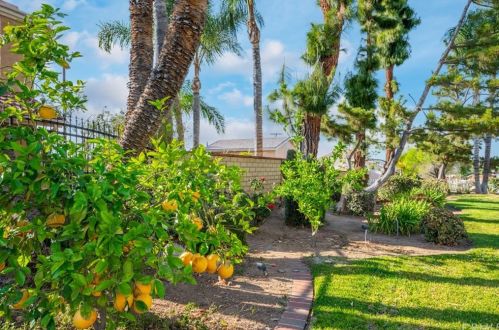 6309 Westview Dr, Riverside CA  92506-5325 exterior