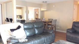 1961 Windsong Dr, Schaumburg IL  60194-4400 exterior