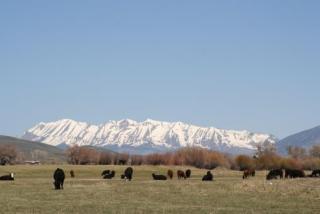 8871 Horse River Ranch Dr, Gunnison, CO 81230