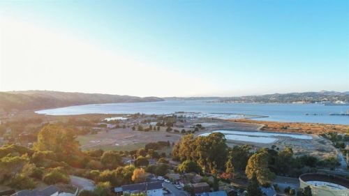 1446 Dineen St, Pacheco, CA 94553-1302