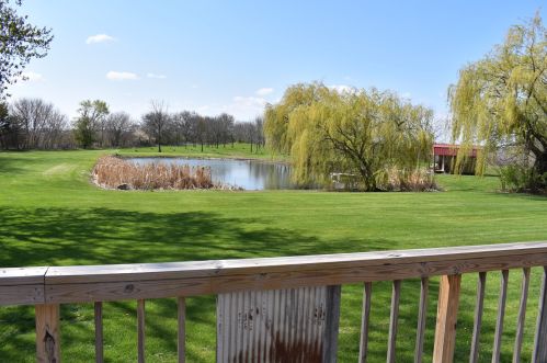 214 Cleveland St, Cullom, IL 60929-7180