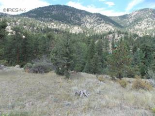 178 Cree Ct, Lyons, CO 80540-8227