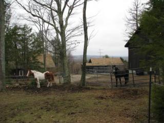 114 Old Ashburnham Rd, Rindge, NH 03461-6063