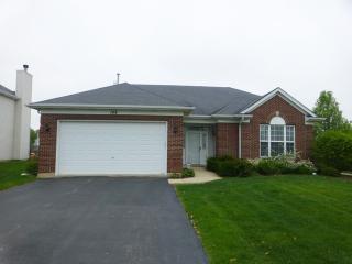 148 Ash Dr, Lemont IL  60490-6521 exterior