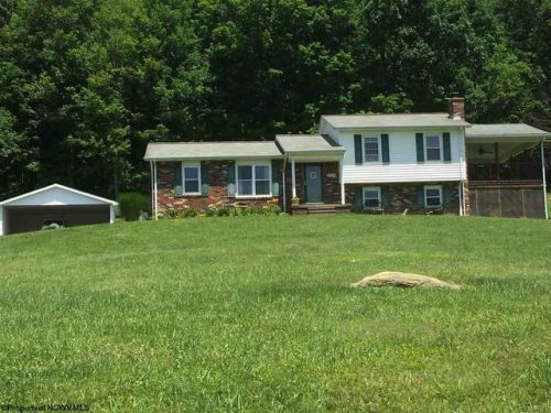 376 Echo Springs Rd, Belington, WV 26250-7669