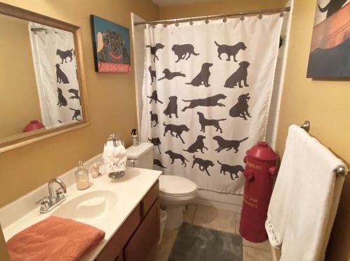 4803 Counts Cv, Austin TX  78749-3755 exterior