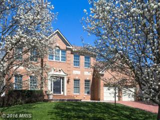 46438 Saffron Ct, Dulles VA  20165-7736 exterior