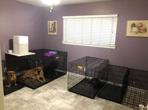 7020 Norma St, Fort Worth TX 76103-3214 exterior