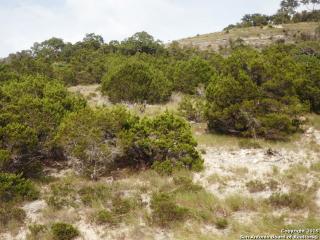 1595 Soaring Eagle Dr, Fischer, TX 78623-1881