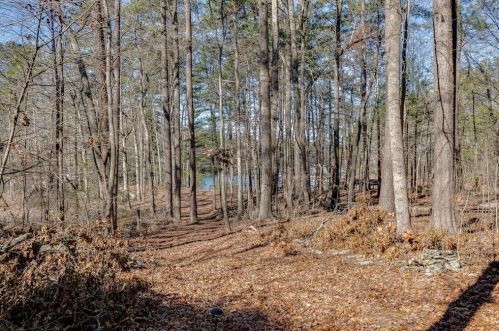 6029 Dolvin Ln, Buford, GA 30518-1209