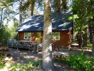 295 Crystal Springs Rd, Fredricksburg, CA 96120-9521