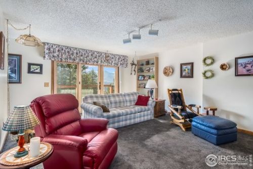 1601 Zermatt Trl, Estes Park CO exterior