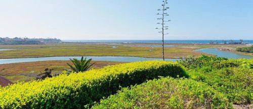 2467 Caminito Ocean Cv, Cardiff By The Sea CA  92007-2225 exterior