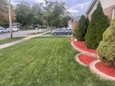 15343 Willow Ln, Dixmoor, IL 60428-2766