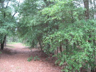 316 Hedgerow Ct, Aiken, SC 29803-8051
