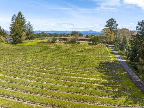 3955 Vine Hill Rd, Sebastopol, CA 95472-2343