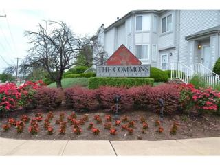 103 Jesse Way, Piscataway, NJ 08854-6400