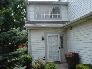 1243 Dunamon Dr, Hanover Park, IL 60103-1951
