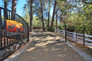 5120 Raven Ln, Swansboro Country, CA 95667-9240